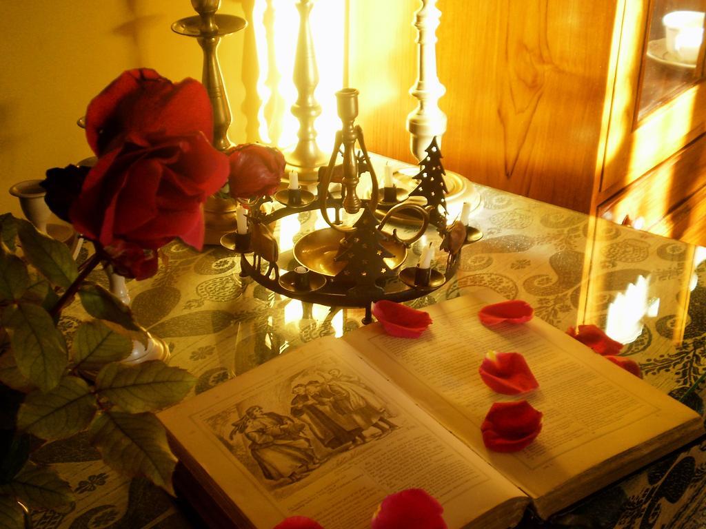 Hotel Boutique Alicia Carolina 2*